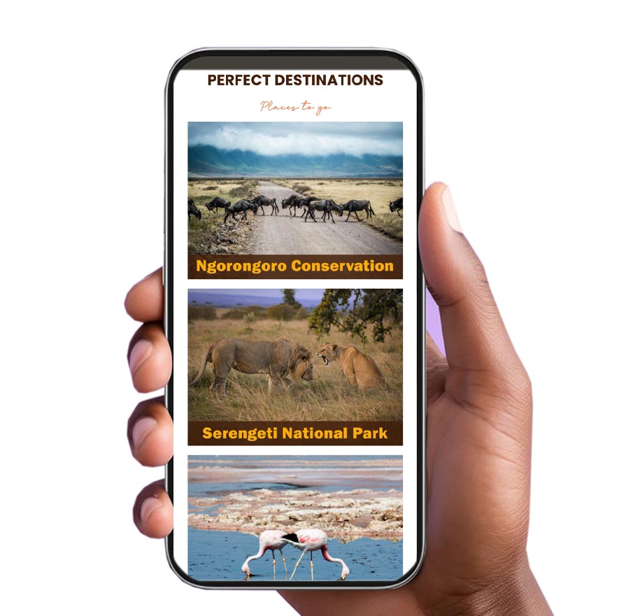 tanzania savana treking